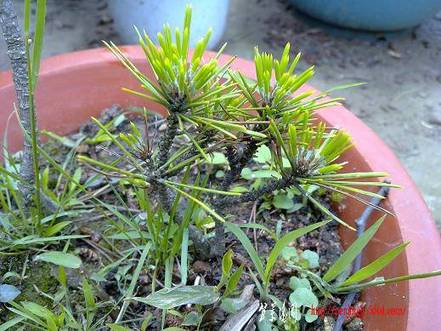 20100515646.jpg