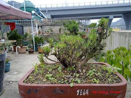 20100515658.jpg