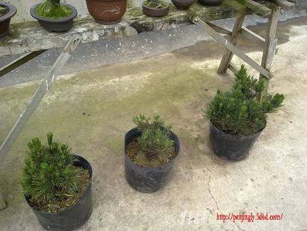 ת 20100515662.jpg