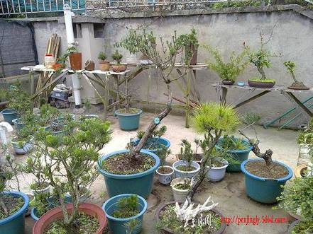20100515663.jpg