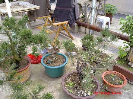 20100515661.jpg