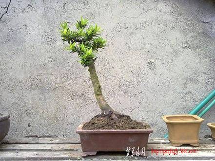 20100516668.jpg