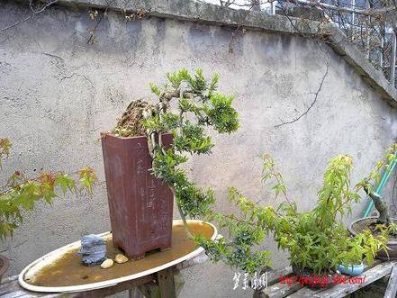 20100516677.jpg