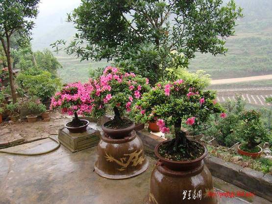 DSC02694(xiao).JPG