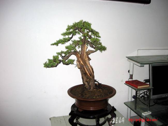 DSCN3700.JPG