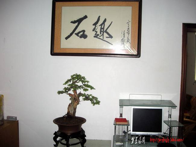 DSCN3704.JPG