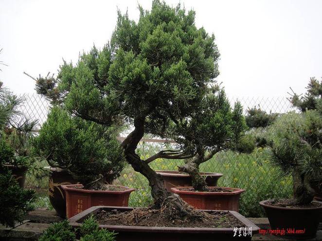 Ƭ 027.jpg