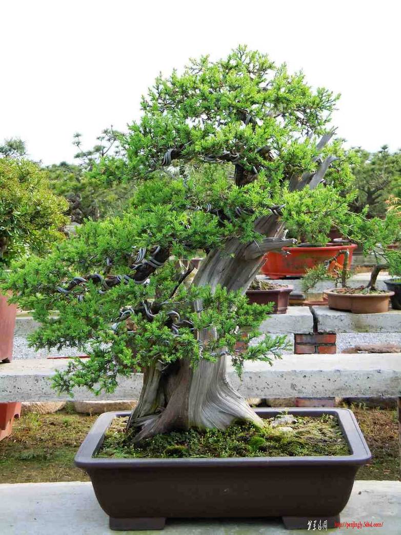 �辰��5.18�� 048.jpg