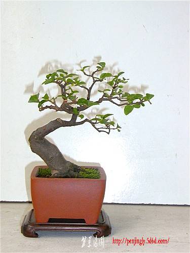 RIMG0032_.jpg