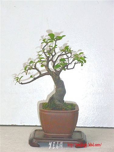 RIMG0033_.jpg