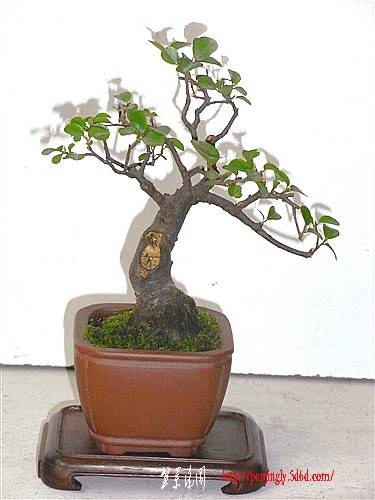 RIMG0034_.jpg