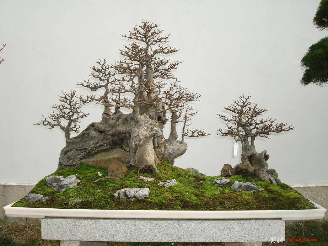 Ƭ 088.jpg