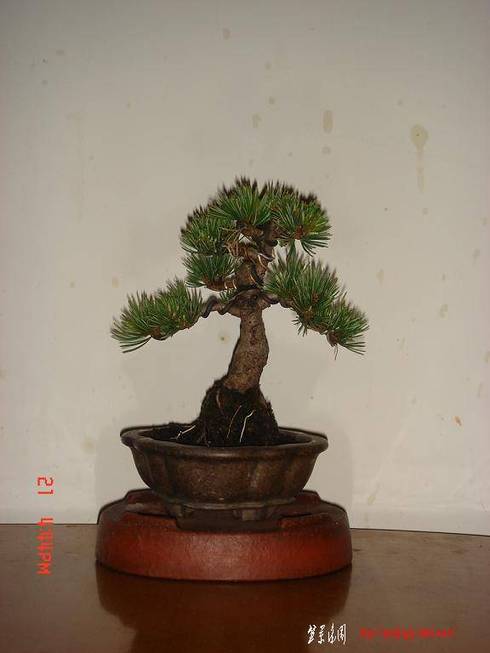 DSC09259.JPG