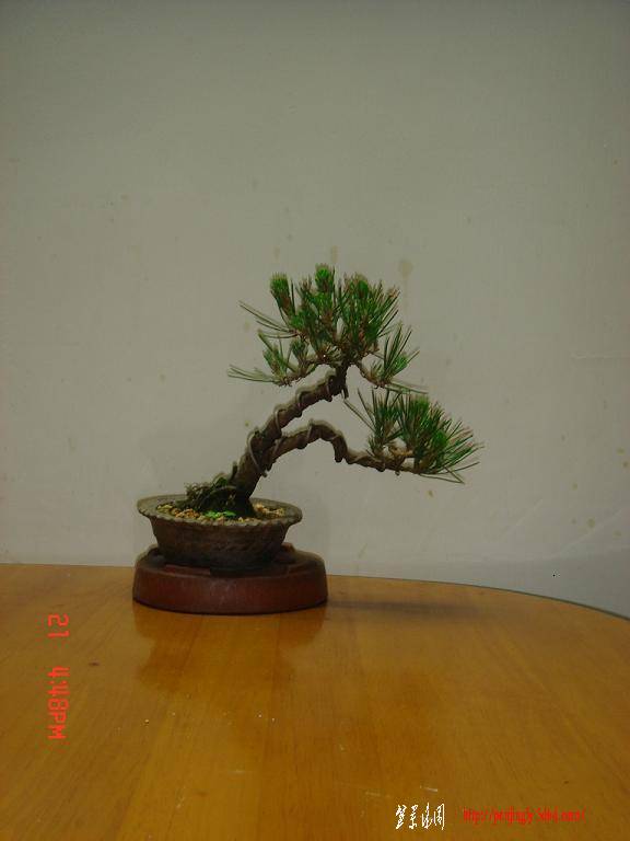DSC09269.JPG