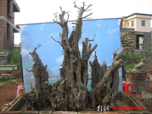 100523Qֹˮ.jpg