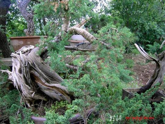 PICT0317.JPG