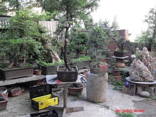 SDC16183.JPG