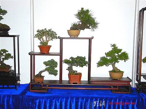 RIMG0101_.jpg