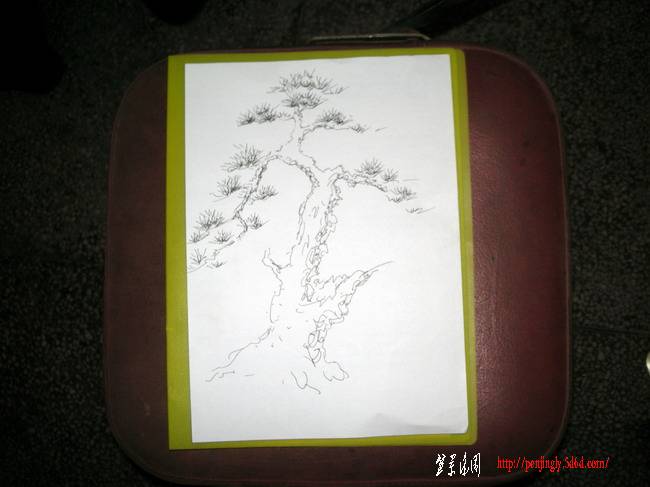 DSCN3826.JPG