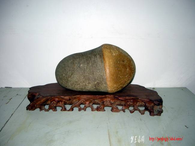 DSCN3649.JPG