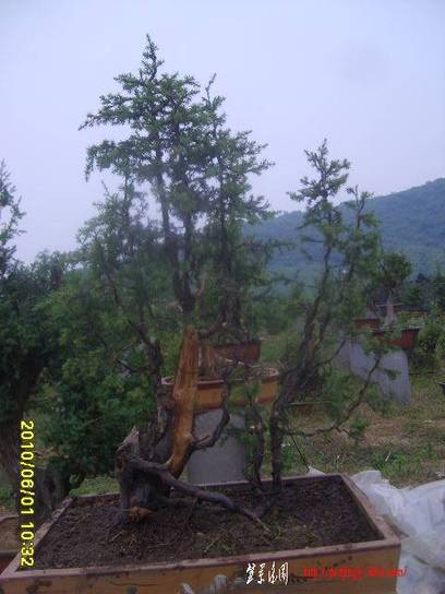 2010_06010001.JPG