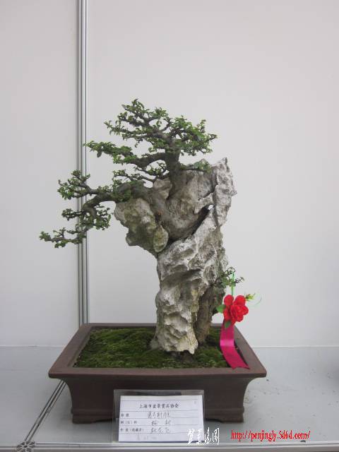 10060122054bc795dacbf4bcd8.jpg