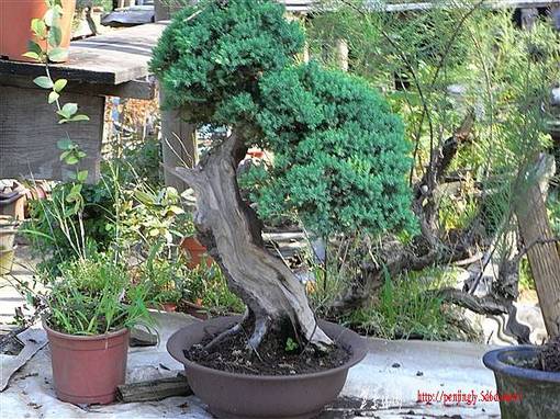 RIMG0330_.jpg