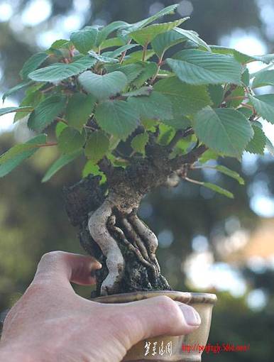wolfgangputz_2007_dsc_3096v.jpg