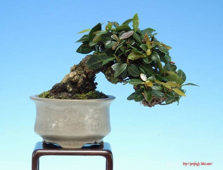 image-hyoushi-2.jpg