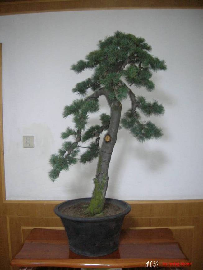 DSCN8549.JPG