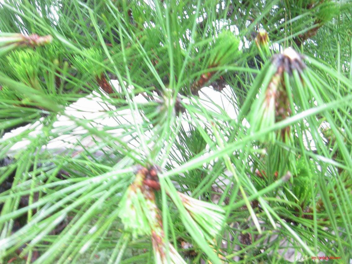 IMG_4715.JPG
