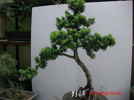 CIMG3022.JPG