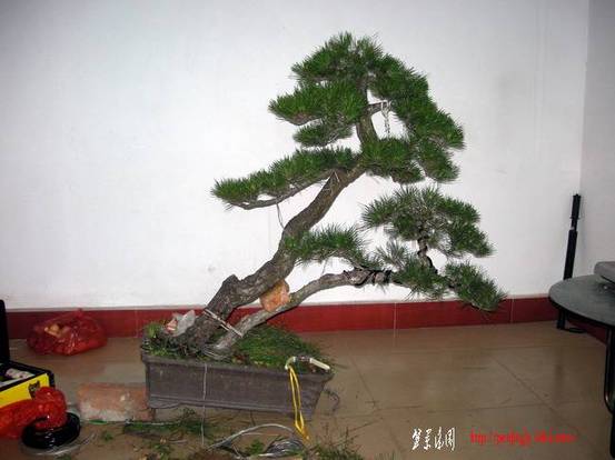 DSCN3871.JPG