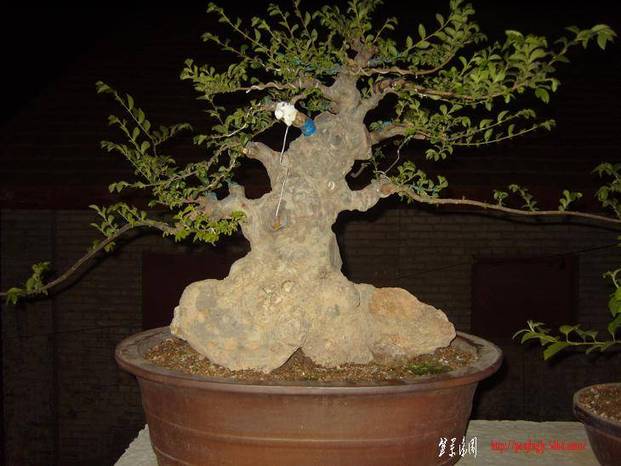 S1030130.JPG