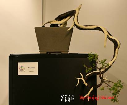 20090710-IMG_8676_410.jpg