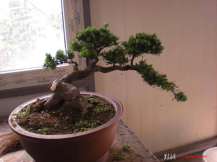 Ƭ 076.jpg