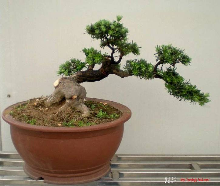 Ƭ 088.jpg