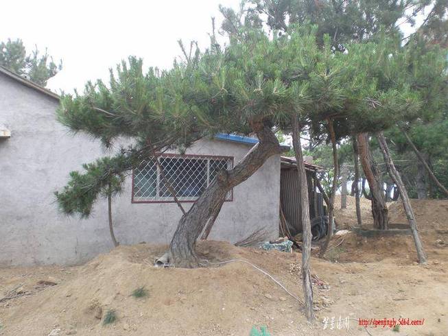 SANY0678.JPG