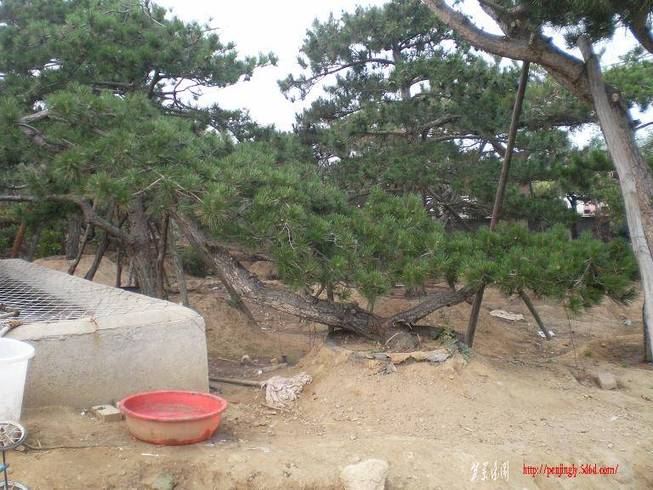 SANY0681.JPG