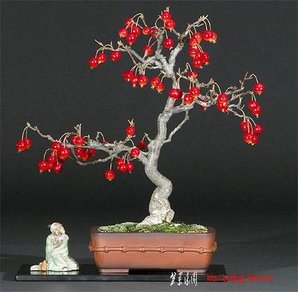 crabapplesm.jpg