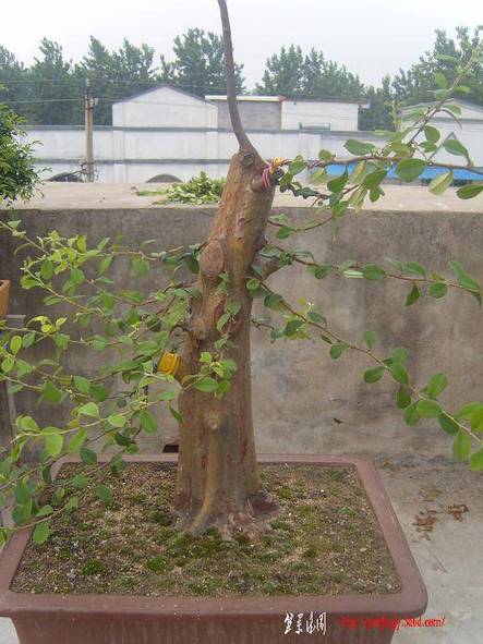 ľ7.JPG