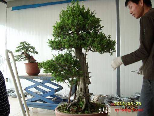 �ҵ��� 251.jpg