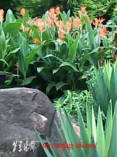 IMG0094A.jpg