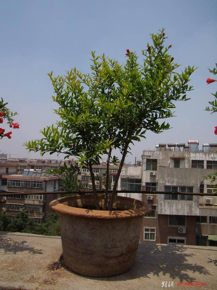 ʯ 032.jpg