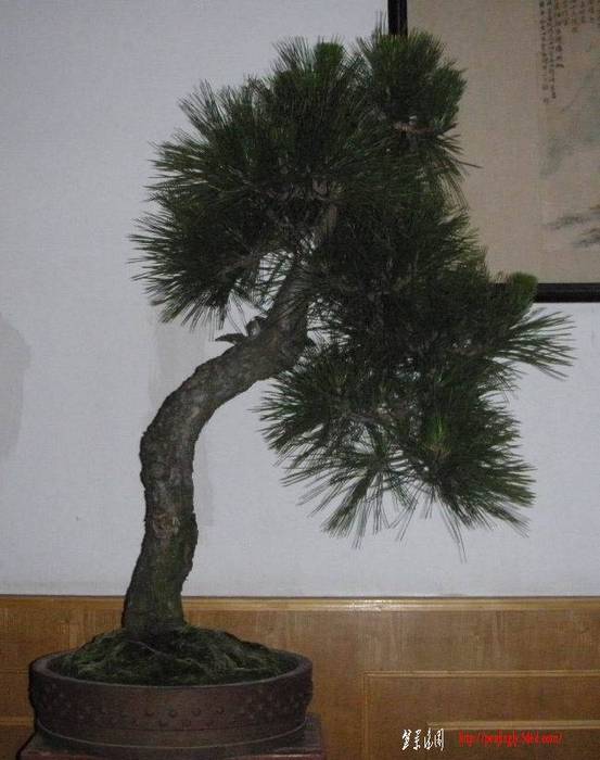 10��6�� (1).jpg