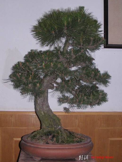 10��6�� (6).jpg