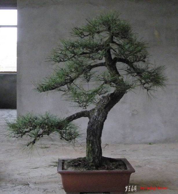 10��6�� (22).jpg