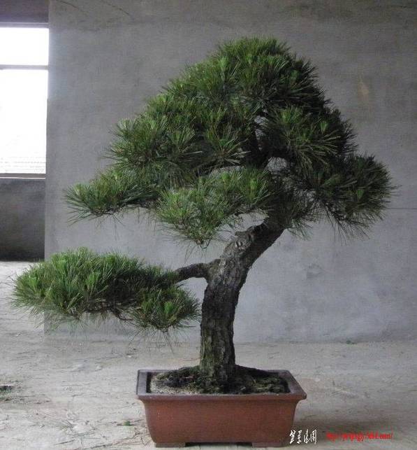 10��6�� (16).jpg