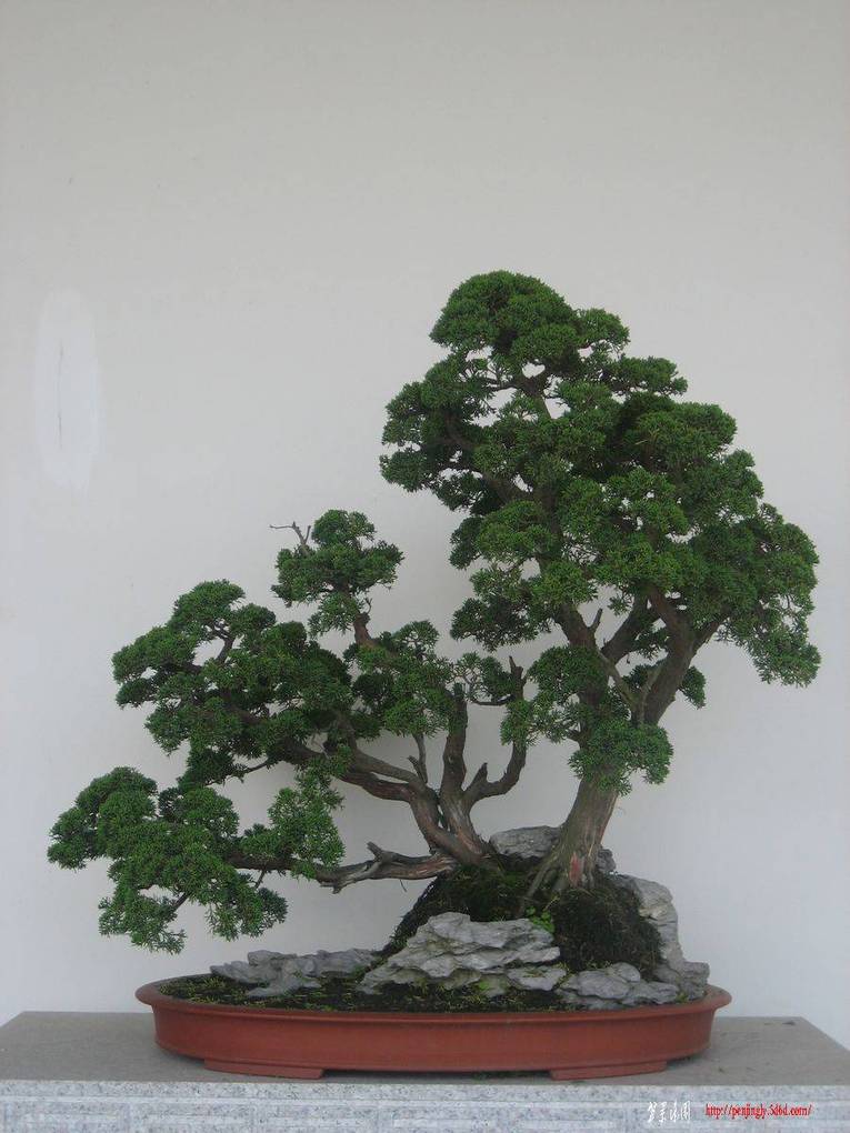 IMG_2193 [1600x1200].jpg