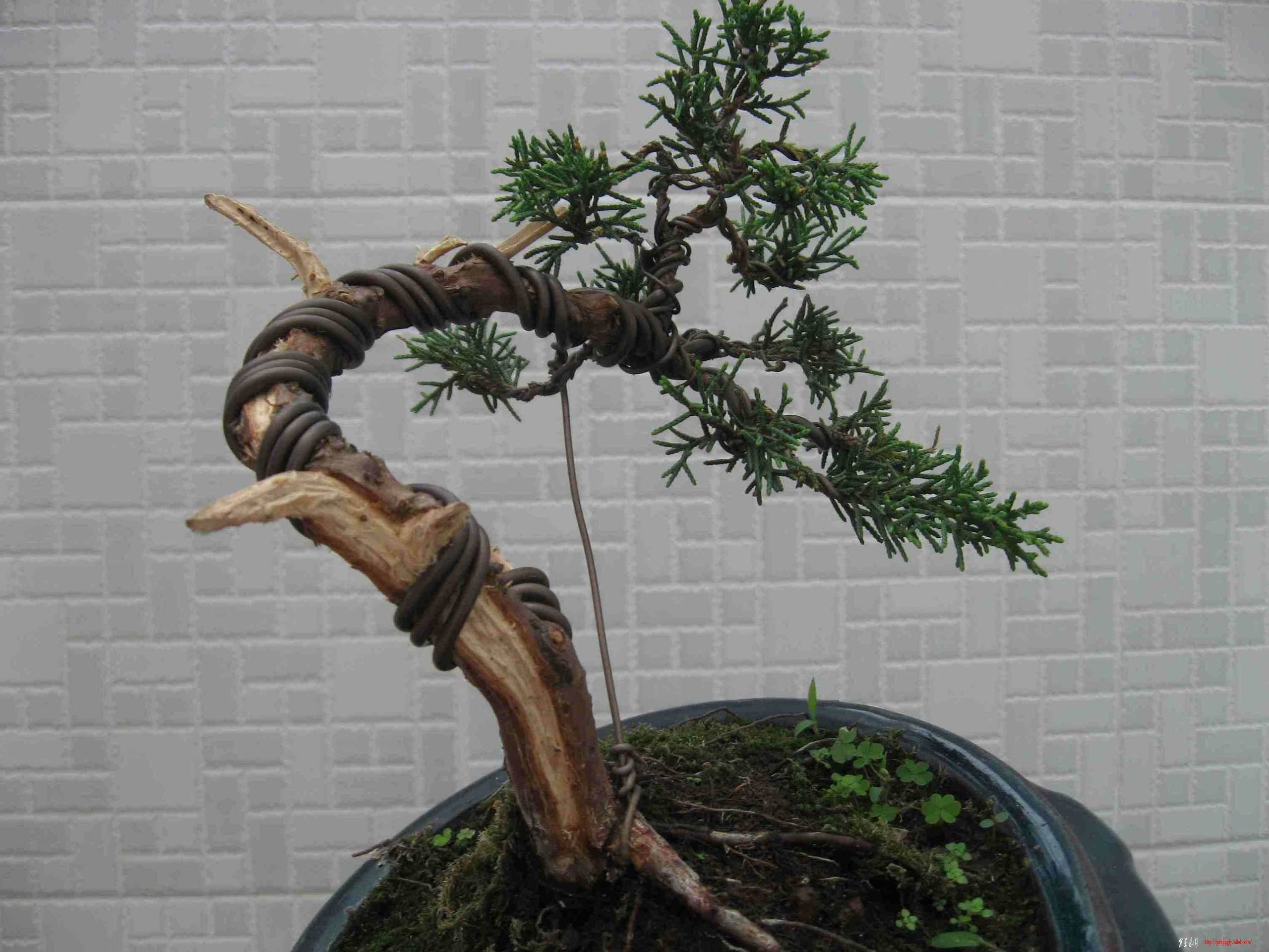 Ƭ 024.jpg